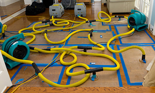 Professional Emergency Water Removal technician working in Reading, MI